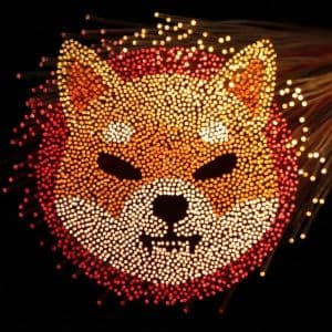 Shiba Inu exchange inflows surpass 407 billion SHIB