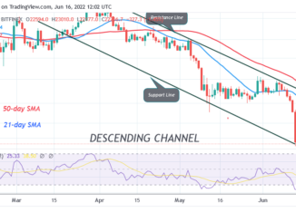 Bitcoin Price Prediction for Today June 16: BTC Struggles above $20K as Price Rebound Is Imminent