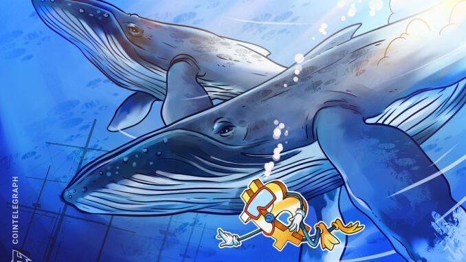 Bitcoin whale support lines up as trader says $14K 'most bearish' BTC price target