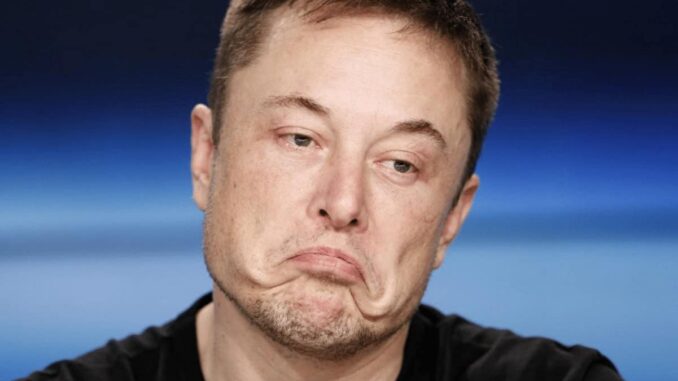 Elon Musk, Tesla, SpaceX Sued for $258 Billion Dogecoin 'Pyramid Scheme'