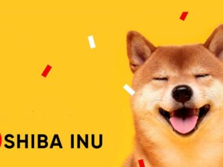 Shiba Inu