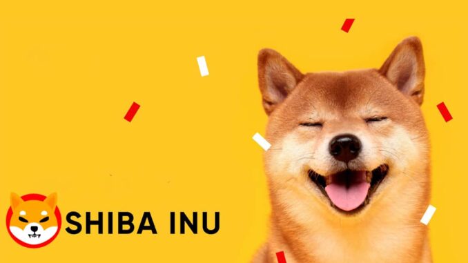 Shiba Inu