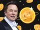 Tesla CEO Elon Musk Confirms He'll Keep Buying and Supporting Dogecoin