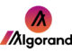 Algorand names COO Sean Ford as Interim CEO