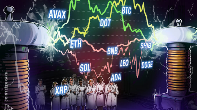 BTC, ETH, BNB, XRP, ADA, SOL, DOGE, DOT, LEO, SHIB