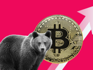 crypto bear