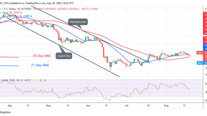 Bitcoin Price Prediction for Today August 18: BTC Price Drops as It Targets Crucial Support at $22K