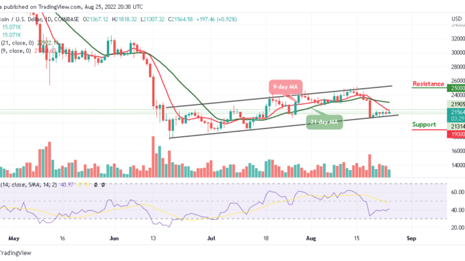 BTC Revives Back Above $40,000 as the Outlook on Tamadoge is Bullish