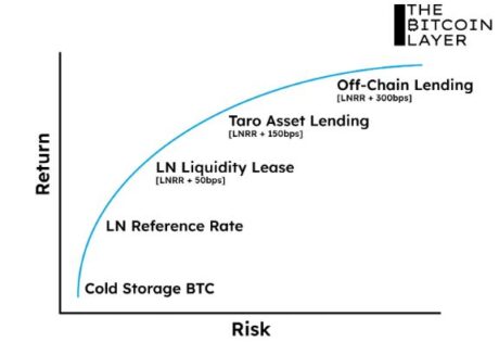 Conceptual Future Bitcoin - Lightning Risk Curve