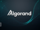 Algorand Foundation Discloses $35M Exposure in Hodlnaut