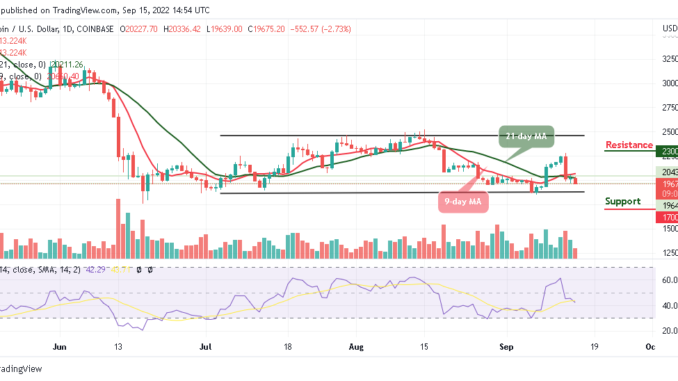 BTC Bears Could Demolish $19,000 Support as Tamadoge Corrects Upward