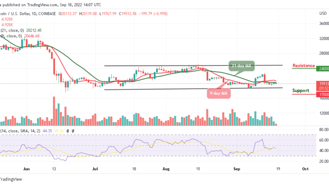 BTC Falls Below $20,000; FOMO on TAMA