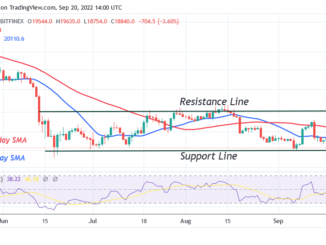 Bitcoin Price Prediction for Today September 20: BTC Price Hovers above $18.6K Low