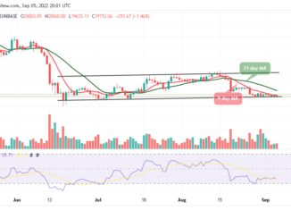 BTC Retraces Below $19,800 as Massive Gains on TAMA