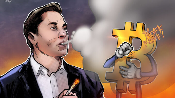 Elon Musk, Cathie Wood sound 'deflation' alarm — is Bitcoin at risk of falling below $14K?