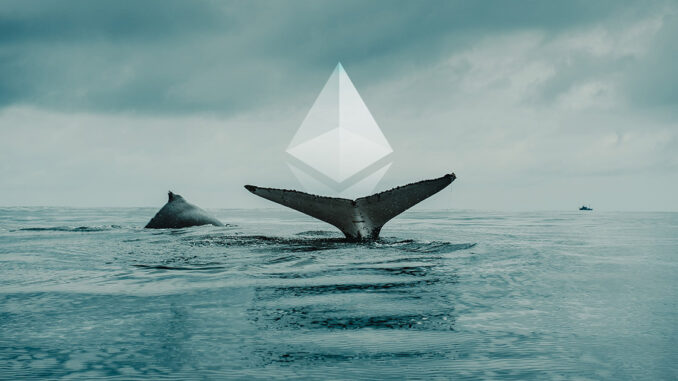 Ethereum whales