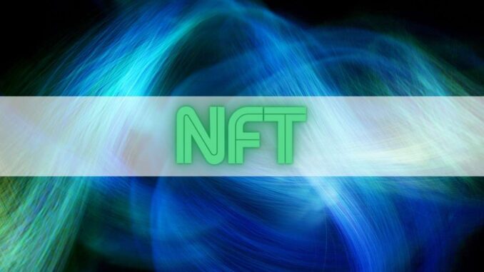 NFT Watchdog Exploited Immediately After Minting Its Own Collection