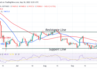 Bitcoin Price Prediction for Today September 30: Btc Price Holds above $19K as Buyers Recoup