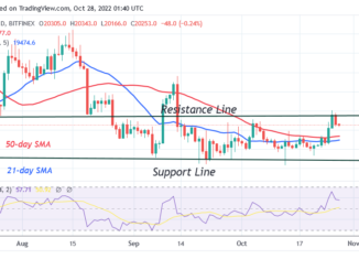 Bitcoin Price Prediction for Today, October 27: BTC Price Pauses above $20.2K