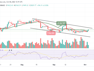 Bitcoin Price Prediction for the Today, October 4: BTC/USD Climbs Above $20,000; Time to Resume Higher?