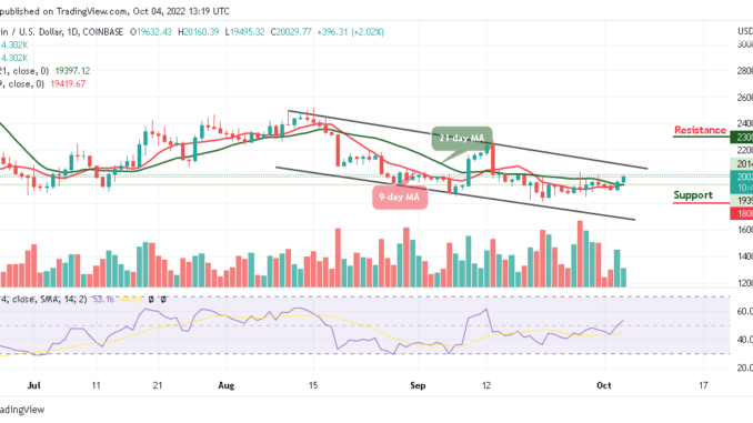 Bitcoin Price Prediction for the Today, October 4: BTC/USD Climbs Above $20,000; Time to Resume Higher?