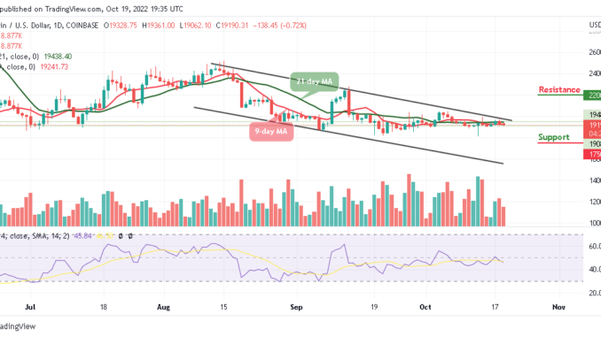 Bitcoin Price Prediction for Today, October 20: BTC/USD Gets Set For a Strong Rally Above $19k