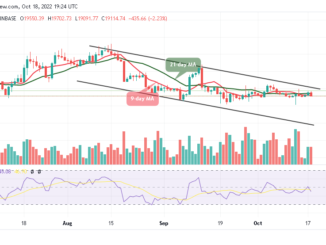 Bitcoin Price Prediction for Today, October 18: BTC/USD Resumes Bearish; Price Faces $19k Support