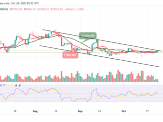 Bitcoin Price Prediction for Today, October 24: BTC/USD Trades at $19,331 as Correction Lingers