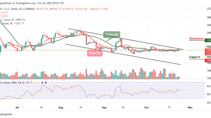 Bitcoin Price Prediction for Today, October 24: BTC/USD Trades at $19,331 as Correction Lingers