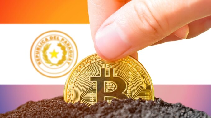 Bitcoin Miner Pow.re Begins Mining Facility Construction in Paraguay, Acquires 3,600 Microbt ASICs – Mining Bitcoin News