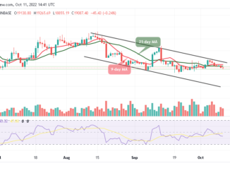 Bitcoin Price Prediction for Today, October 11: BTC/USD Dips below $19k