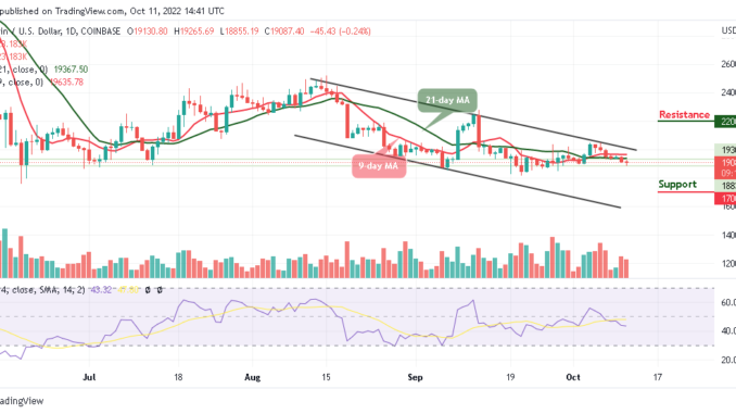 Bitcoin Price Prediction for Today, October 11: BTC/USD Dips below $19k