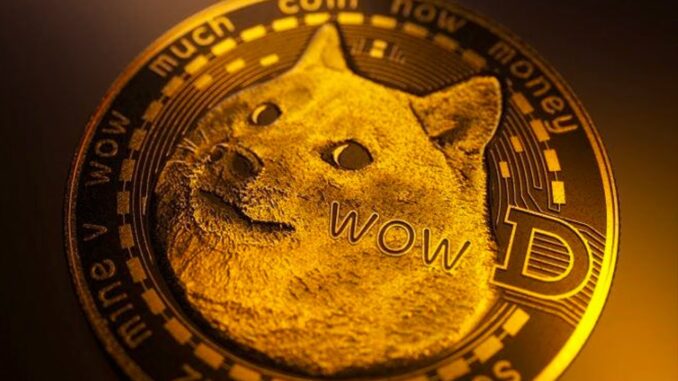 DOGE PUMPS 100%!!! ALTCOIN SEASON PREPARATION STARTS NOW.... @Ivan on Tech Explains