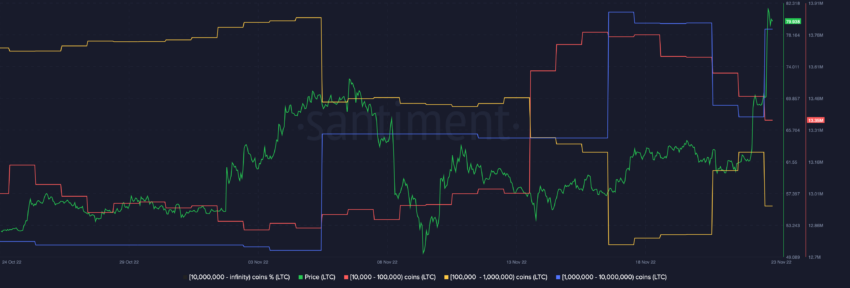 Supply distribution by balance of addresses  | Source: Santiment 