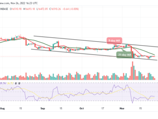 Bitcoin Price Prediction for Today, November 26: BTC/USD May Experience Another Drop Below $16,500