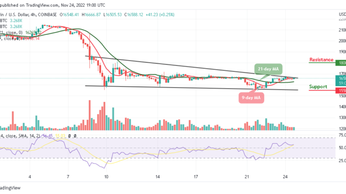 Bitcoin Price Prediction for Today, November 24: BTC/USD Price Could Slide to $16,000 Support