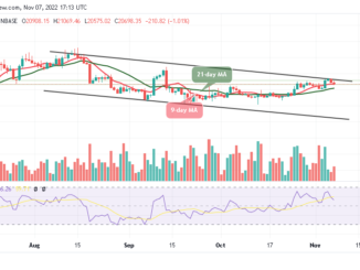 Bitcoin Price Prediction for Today, November 7: BTC/USD Risks Fresh Drop Below $20,500 Support