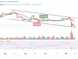 Bitcoin Price Prediction for Today, November 14: BTC/USD Rejects $18k Level