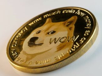 Dogecoin Dumps 8% on Reports That Twitter Had Paused Plans for Crypto Wallet