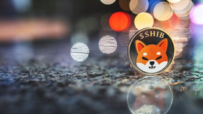 Shiba Inu SHIB prediction as price retraces 50%