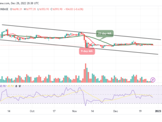 Bitcoin Price Prediction for Today, December 28: BTC/USD Could Avoid another Downtrend If Closes Above $17k