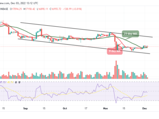 Bitcoin Price Prediction for Today, December 3: BTC/USD Falls 0.81% to 16,890 Support