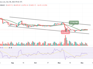 Bitcoin Price Prediction for Today, December 8: BTC/USD Sticks in a Tight Range Below $17,000