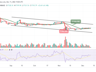 Bitcoin Price Prediction for Today, December 11: BTC/USD Fails to Reclaim $18,000 Level