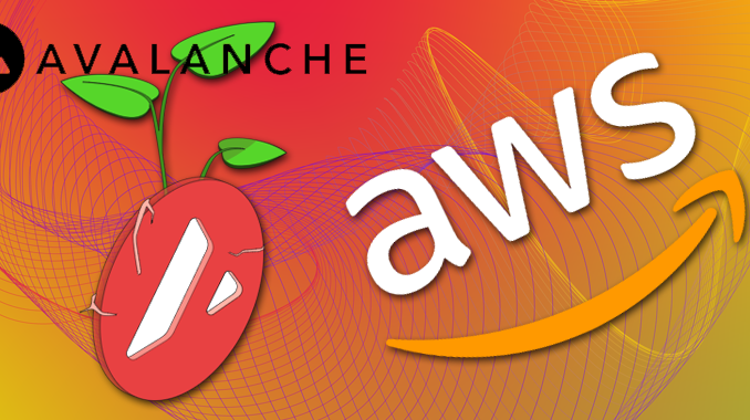 AWS Partners with Avalanche to Facilitate Web3 Services -