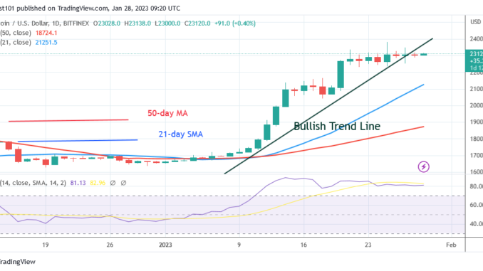 Bitcoin Price Prediction for Today, January 28: BTC Price Is Steady above the $23K Support Level