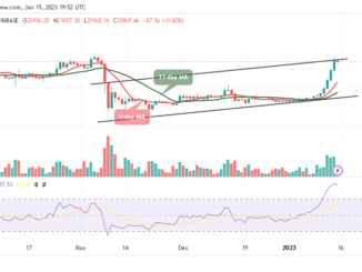 Bitcoin Price Prediction for Today, January 15: BTC/USD Likely to Revisit the $21,000 Level