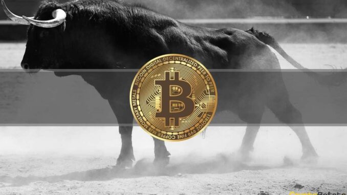 Erik Voorhees Predicts When the Next Bitcoin Bull Market Will Start