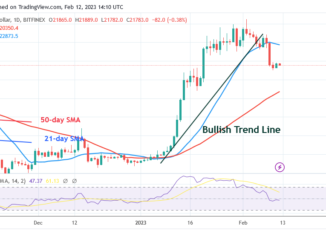 Bitcoin Price Prediction for Today, February 12: BTC Price Bounces above $21.7K