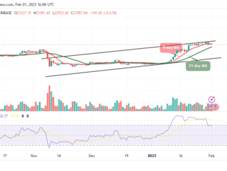 Bitcoin Price Prediction for Today, February 1: BTC/USD Could Drop Below $22,500 Support